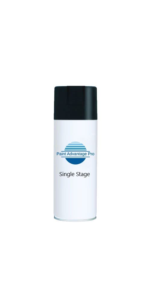Walgreens 18071 F C A Silver Metallic 12oz Paint Single Stage High Coverage Interior/Exterior Paint for Homeowners
